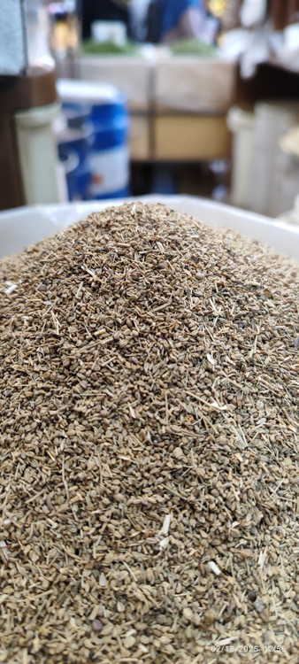 زنیان خردانه اصل دارویی و آشپزی