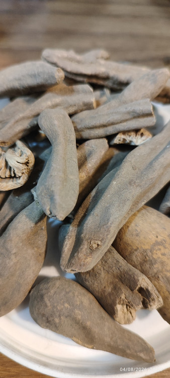 عود الصلیب اصل خوشبو و مرغوب