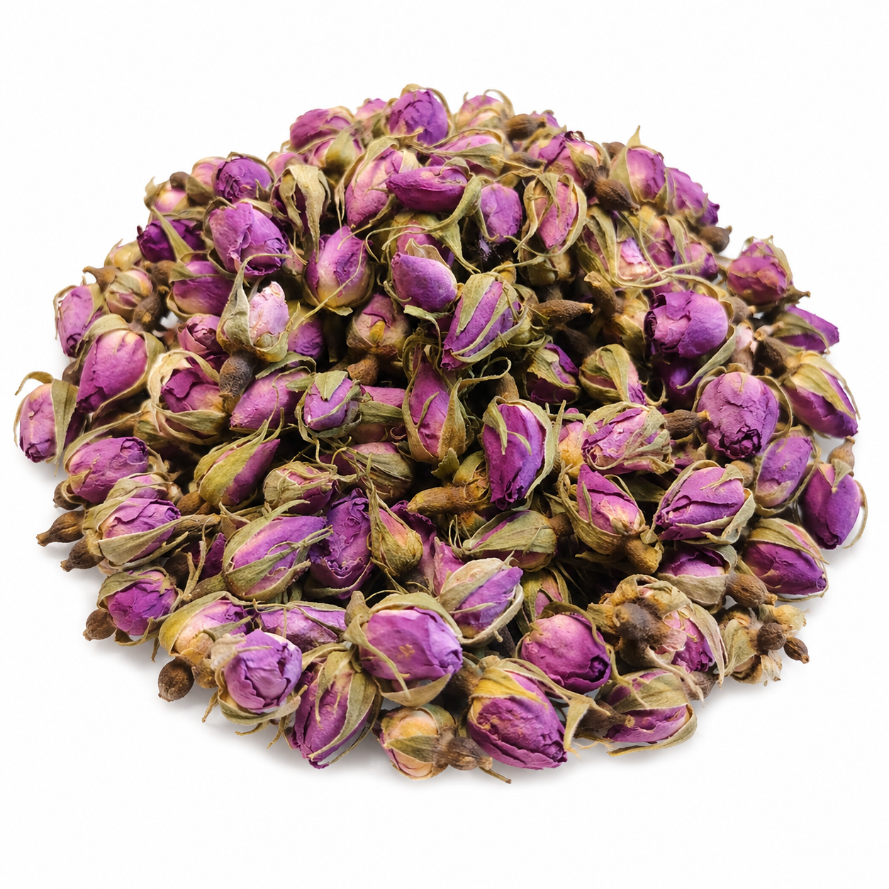 غنچه گل محمدی